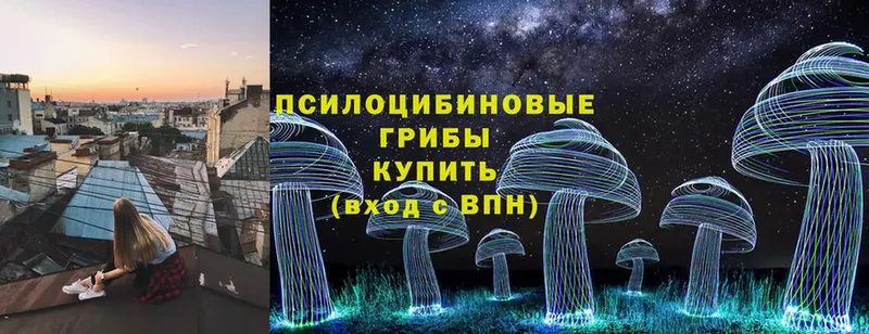 Псилоцибиновые грибы Magic Shrooms  Кимры 